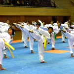 В Пхеньяне открылся национальный фестиваль Таэквон-до