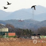 Южная Корея ввела карантин в связи со вспышкой птичьего гриппа