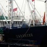 Судно “Ляонин”, удерживаемое КНДР 16 дней, вернулось в порт Далянь