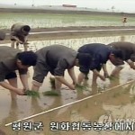 Ливневые дожди в КНДР привели к гибели двух человек