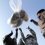 Активисты Южной Кореи отправили в КНДР воздушные шары с пропагандой