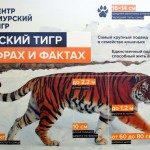 Россия и Северная Корея планируют проводить совместный мониторинг леопардов и тигров