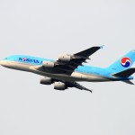 В самолёте Korean Air обнаружены два боевых патрона
