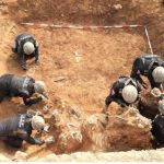 В ходе раскопок в ДМЗ обнаружены 26 фрагментов костей погибших солдат