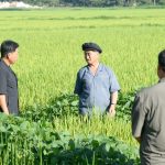 Премьер-министр Ким Док Хун ознакомился на месте с положением дел разных областей