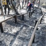 В РК продолжаются сильные лесные пожары