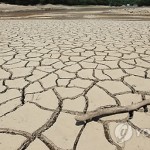 Жителей КНДР призвали искать новые источники воды из-за рекордной засухи