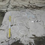 В Южной Корее у скалы с петроглифами обнаружили следы динозавров
