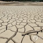 Южные регионы РК охвачены засухой